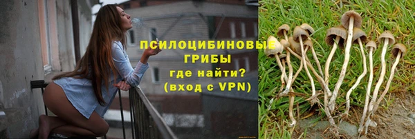 MDMA Premium VHQ Нязепетровск
