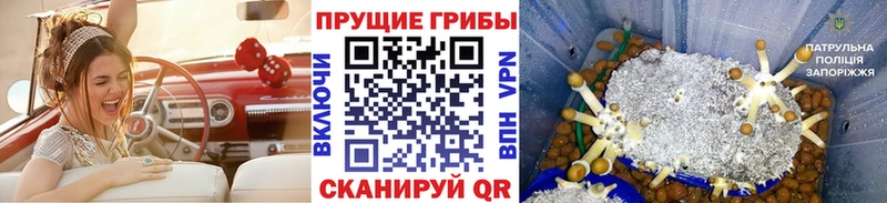 kraken вход  где найти наркотики  Семилуки  Галлюциногенные грибы мухоморы 