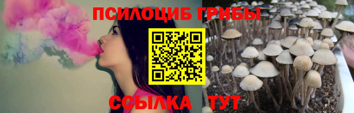 Псилоцибиновые грибы MAGIC MUSHROOMS  Вход с VPN  Семилуки  Псилоцибиновые грибы мухоморы 