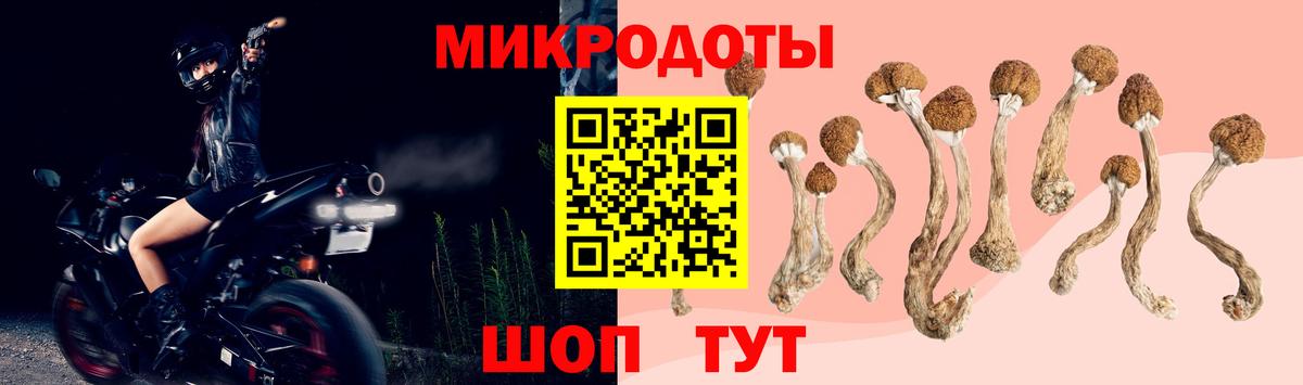 Псилоцибиновые грибы ЛСД Семилуки